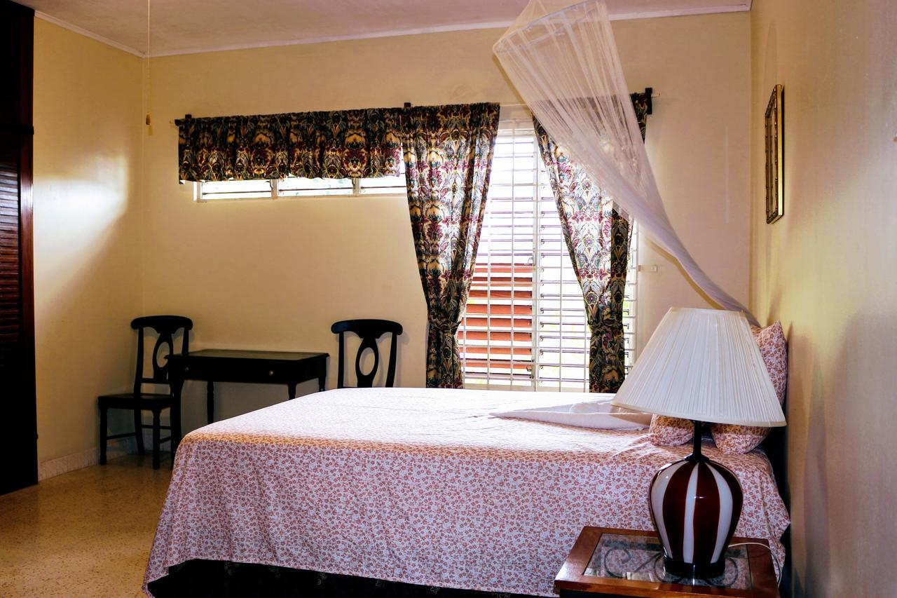 Jacks Hill Tropical Arcadia Hotel Kingston Eksteriør billede