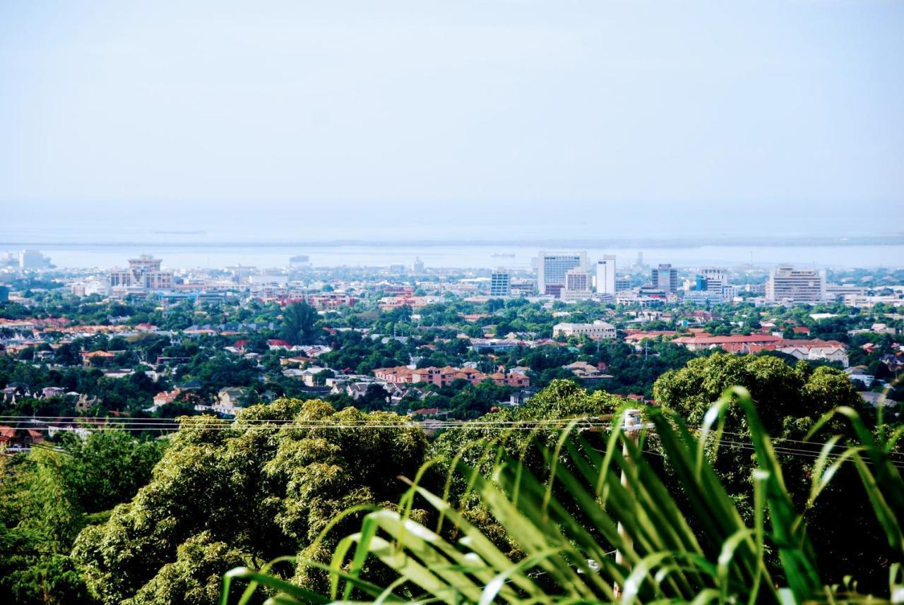 Jacks Hill Tropical Arcadia Hotel Kingston Eksteriør billede